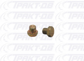 Заглушка резьбовая М10х1 1001579, ЗГ-М10