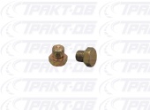 Заглушка резьбовая М10х1 1001579, ЗГ-М10