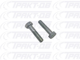 Болт  М10х1,25х45 1/12347/21