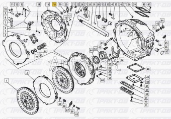 Гайка регулировочная  корзины сцепления 14.1601109