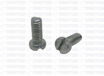 Винт переднего бампера /4310/ М6х14 1/03766/21