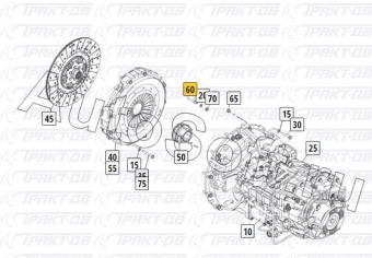 Винт регулировочный сцепления 4308-оригинал (завод) 4308-1601204-00